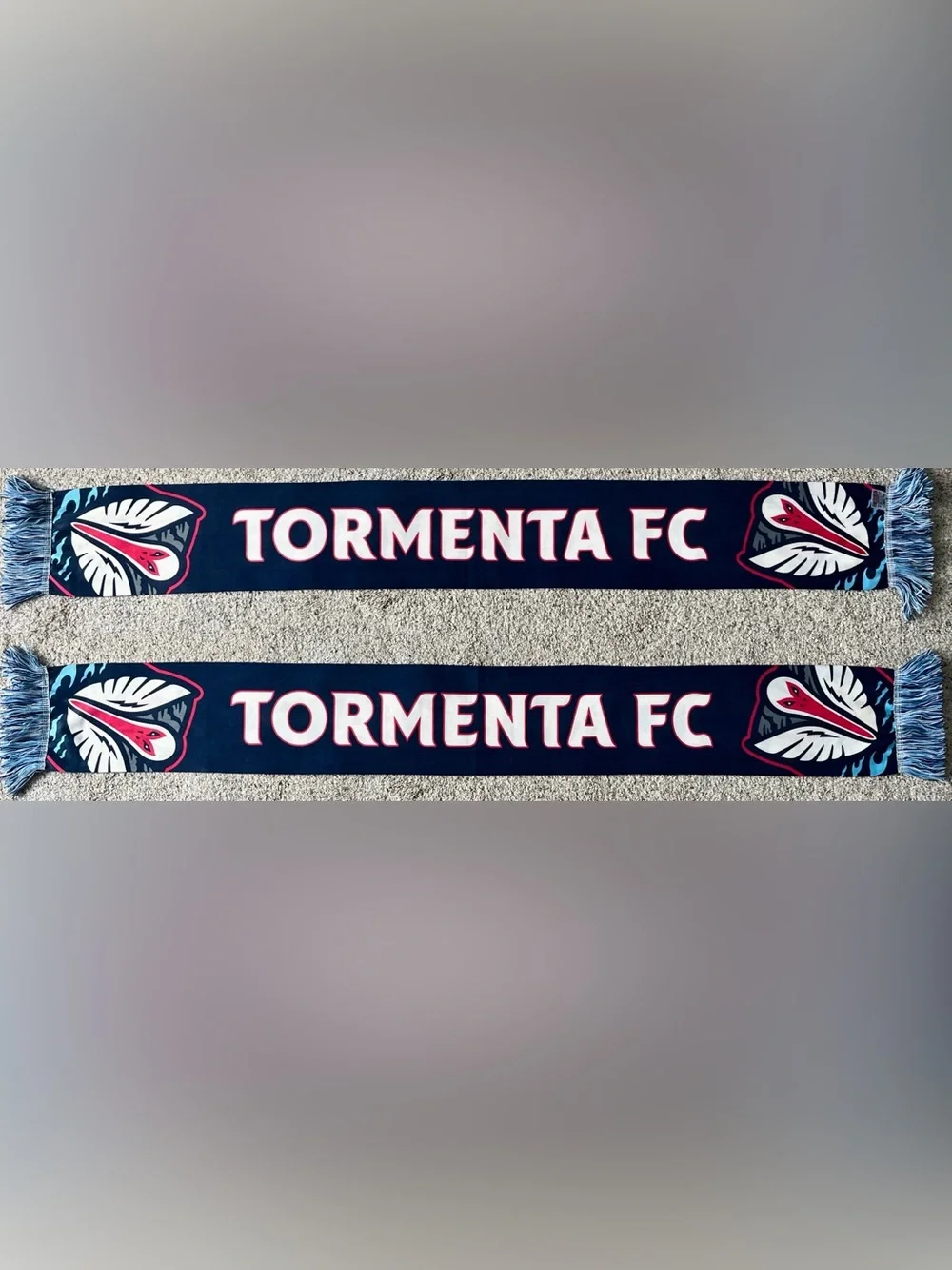 Tormenta FC USL League 1 Soccer Scarf